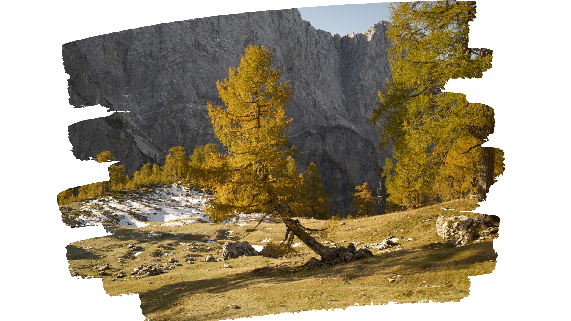 Couverture Newsletter octobre