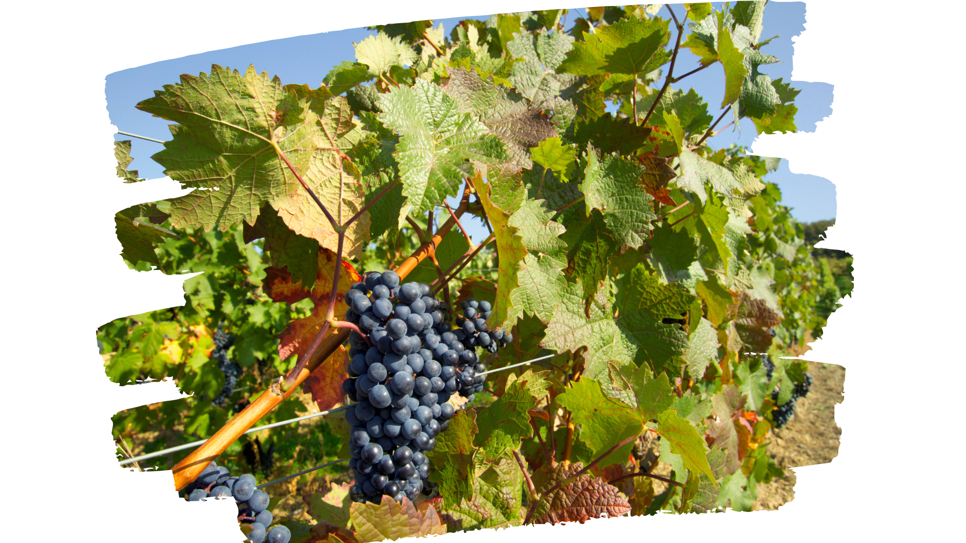 Couverture Newsletter octobre