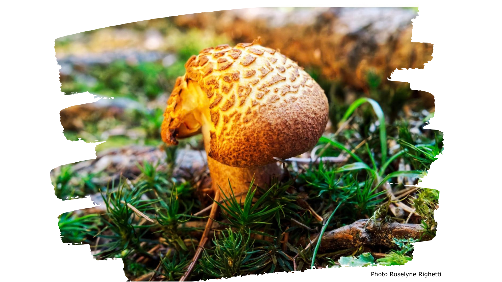 Couverture Newsletter octobre