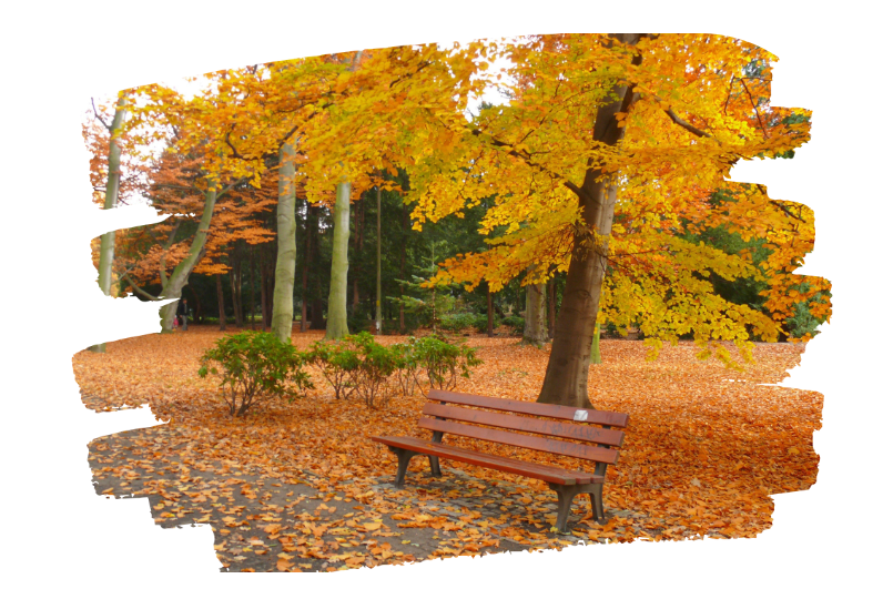 Couverture Newsletter octobre