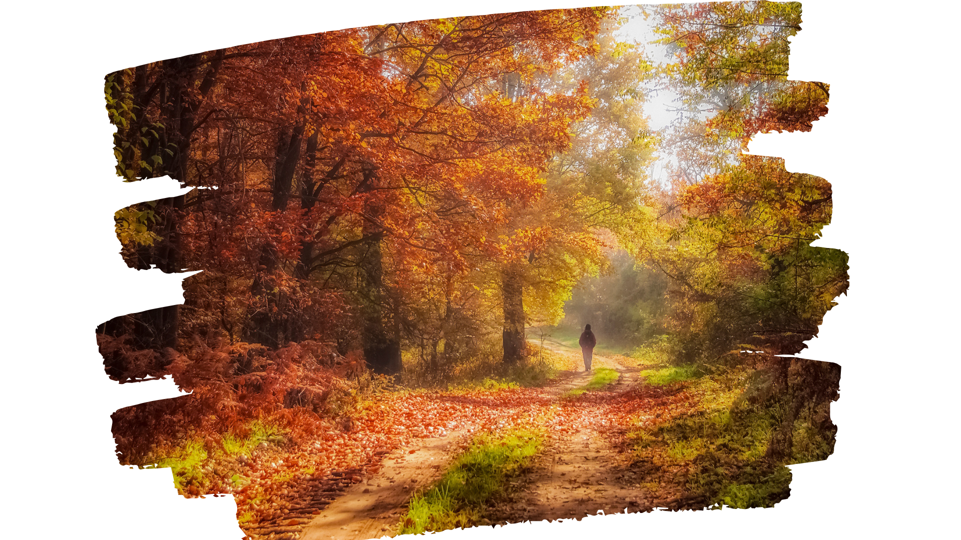 Couverture Newsletter octobre